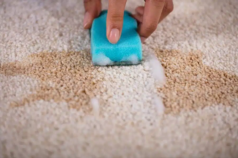 הסרת כתמים משטיחים - מסיר כתמים
